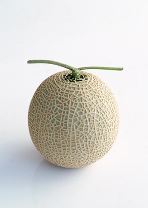 究極の餃子を提供する横浜駅近くのレストラン